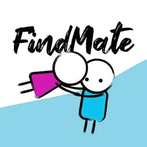 Find Mate Game Logo